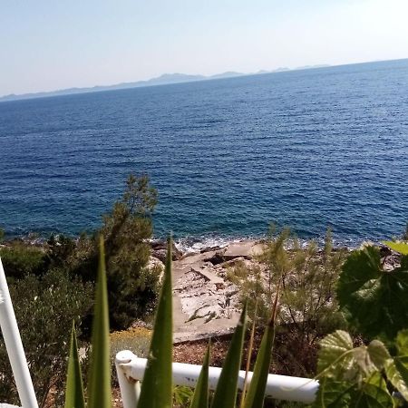 Apartman Laus Zavalatica Dış mekan fotoğraf