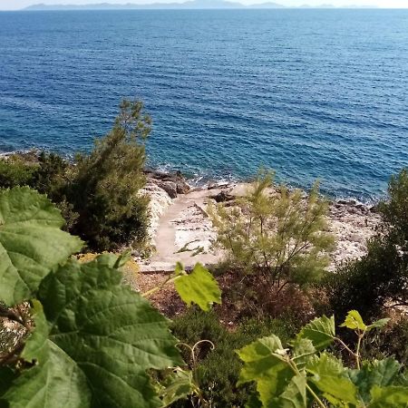 Apartman Laus Zavalatica Dış mekan fotoğraf