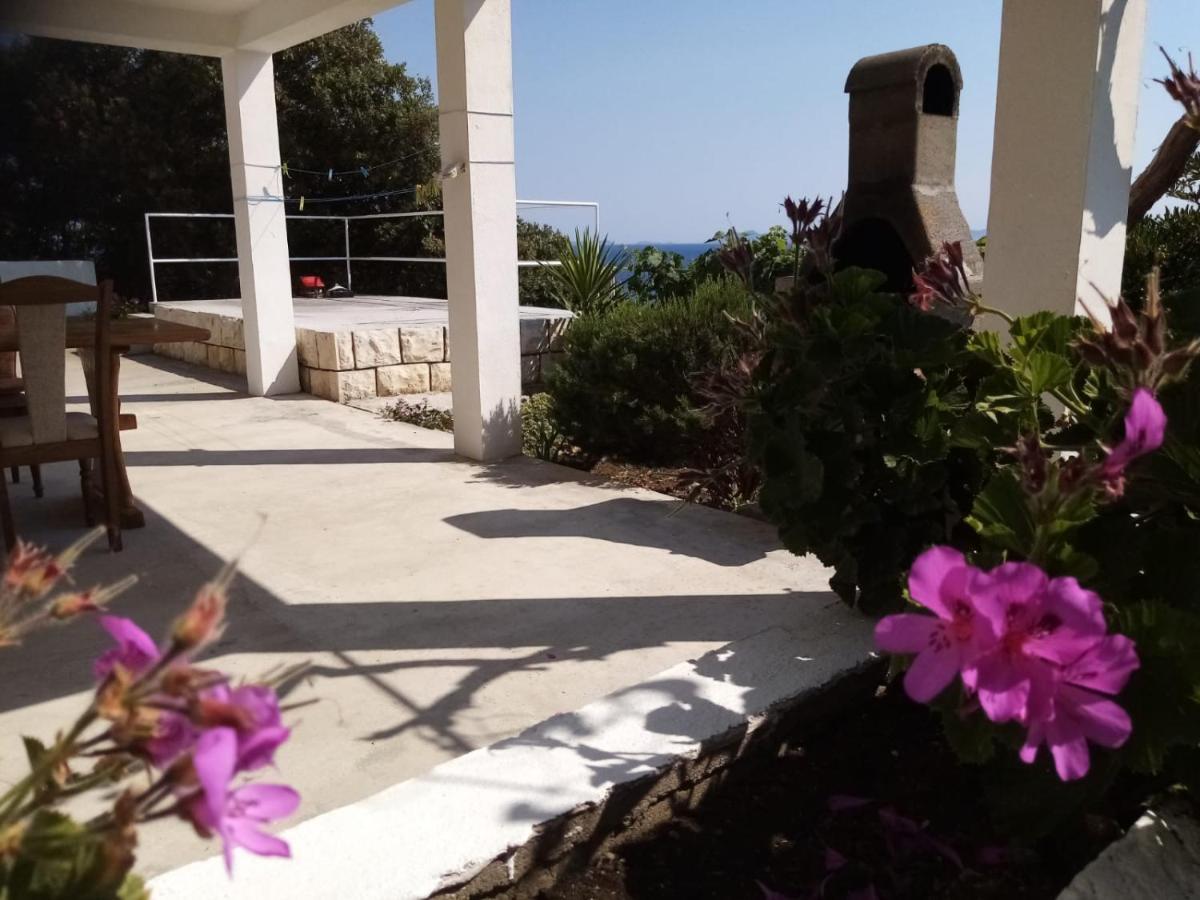 Apartman Laus Zavalatica Dış mekan fotoğraf