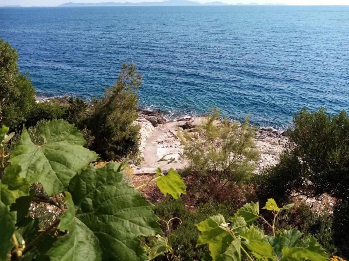 Apartman Laus Zavalatica Dış mekan fotoğraf